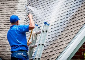 5 Things to Consider Before Hiring a Professional Roof Cleaning
