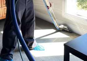 What to Look for in A Carpet Cleaning Company